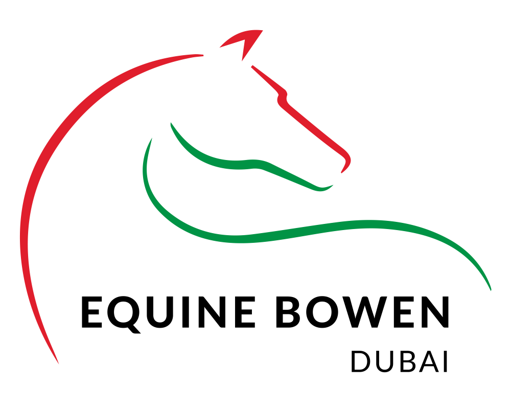 Equine Bowen Therapy in Dubai